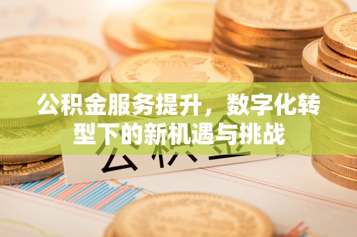 恩施公积金服务提升，数字化转型下的新机遇与挑战