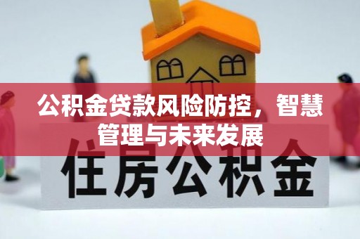 恩施公积金贷款风险防控，智慧管理与未来发展