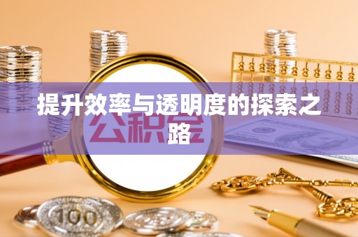 恩施提升效率与透明度的探索之路