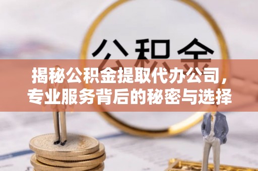 恩施揭秘公积金提取代办公司，专业服务背后的秘密与选择指南