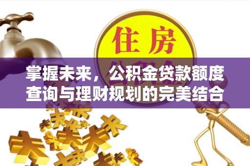 恩施掌握未来，公积金贷款额度查询与理财规划的完美结合